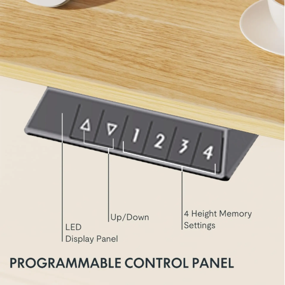 Flowlift Pro Desk