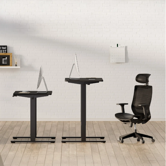 Flowlift Pro Desk