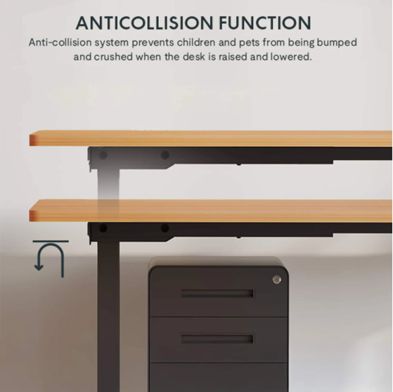Flowlift Pro Desk