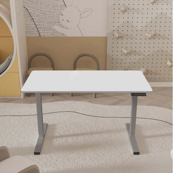 Flowlift Pro Desk
