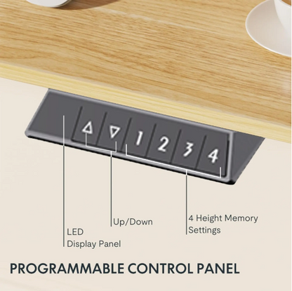 Flowlift Pro Desk